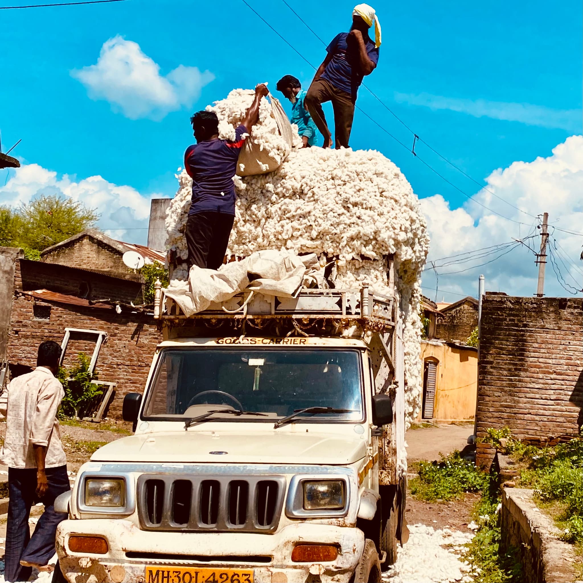 I was walking by when I saw these guys loading this truck with the cotton harvest. The guy at the top yelled out "Keep it coming, we can still add some more!"