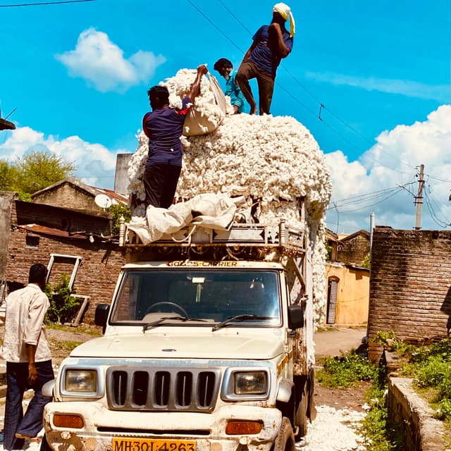 I was walking by when I saw these guys loading this truck with the cotton harvest. The guy at the top yelled out "Keep it coming, we can still add some more!"
